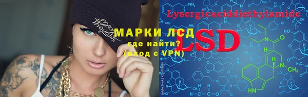 PSILOCYBIN Алексеевка