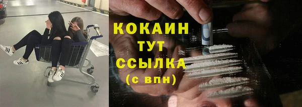 ПСИЛОЦИБИНОВЫЕ ГРИБЫ Алзамай