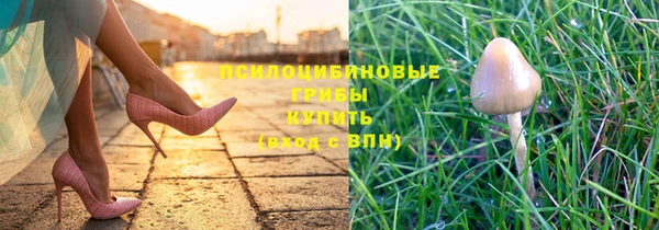 ПСИЛОЦИБИНОВЫЕ ГРИБЫ Алзамай