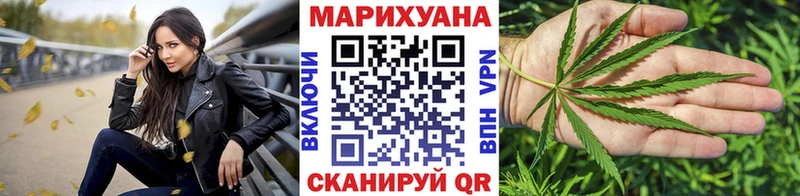 Каннабис OG Kush  Пущино 